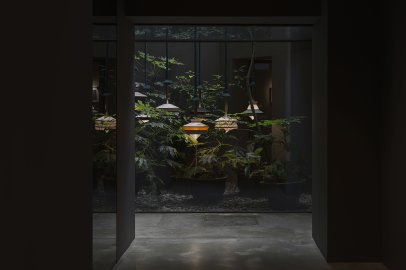 Il·luminació